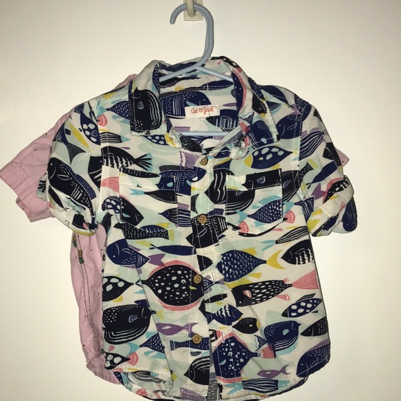 2 boys 2T button down tee shirts for $8 - Picture 2 of 5